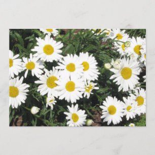 Daisyblommainbjudan Inbjudningar