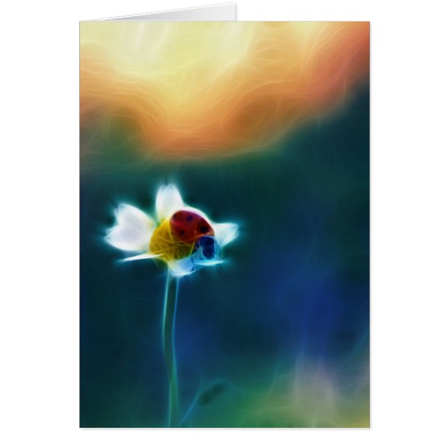 Daisybug OBS Kort (Framsidan)