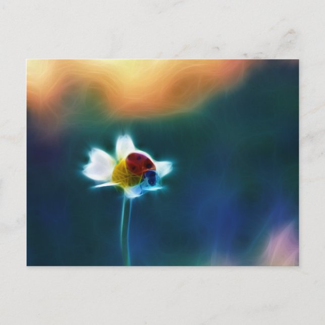 Daisybug Vykort (Framsida)
