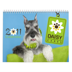 DaisyCares kalender 2011