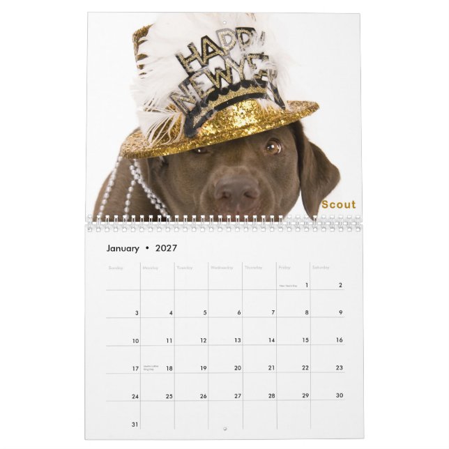 DaisyCares kalender 2011 (Jan 2027)