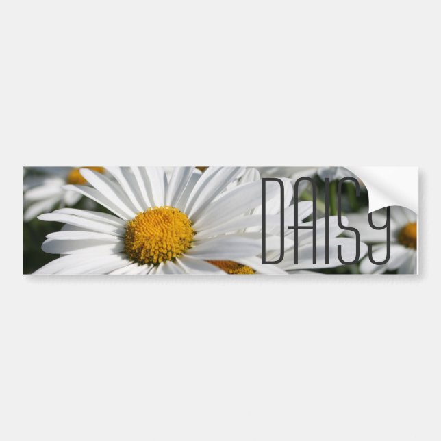 Daisydaisy Bildekal (Framsidan)