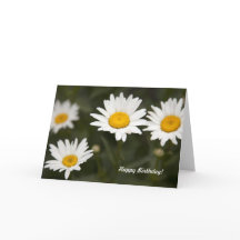 Daisydaisy