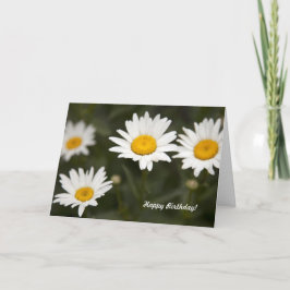 Daisydaisy Kort