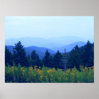 DaisyField Poster