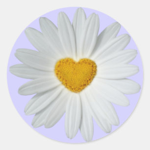 Daisyhjärta Runt Klistermärke