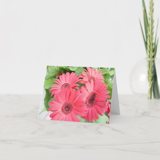 Daisykort Kort (Framsida)