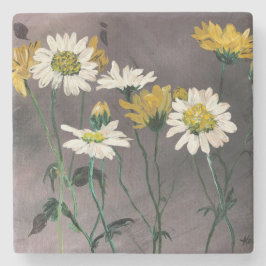 Daisykustfartyg Stenunderlägg