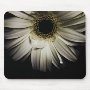 Daisyliten droppeserie musmatta