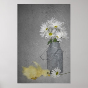 Daisyn land poster