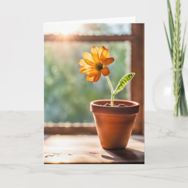 Daisyn tack Orange Kort (Framsida)