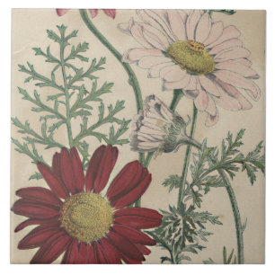 daisyn Vintage elegant Kakelplatta