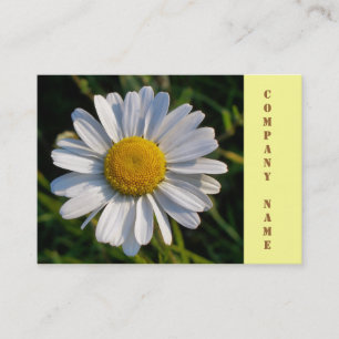 Daisyn WILDFLOWERS Visitkort