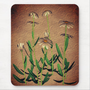 Daisyns blombild musmatta