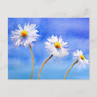 Daisyns Daisy Vykort