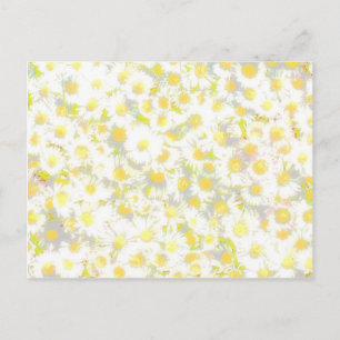 Daisyns Daisy Vykort