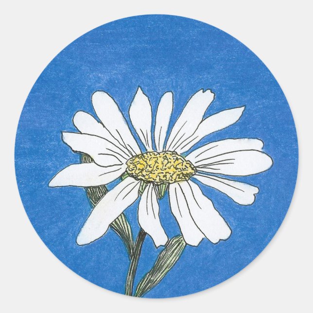 Daisyns fästmärke runt klistermärke (Framsida)
