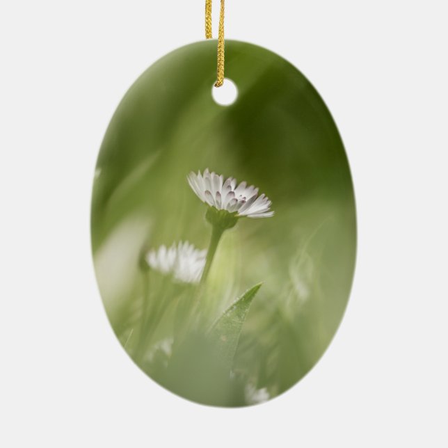 Daisyns naturfoto julgransprydnad keramik (Baksidan)