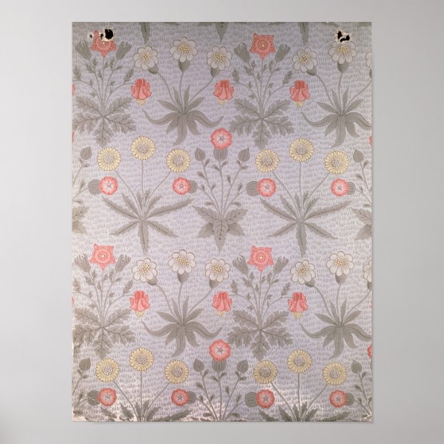 Daisyns tapet-utformning poster (Framsidan)