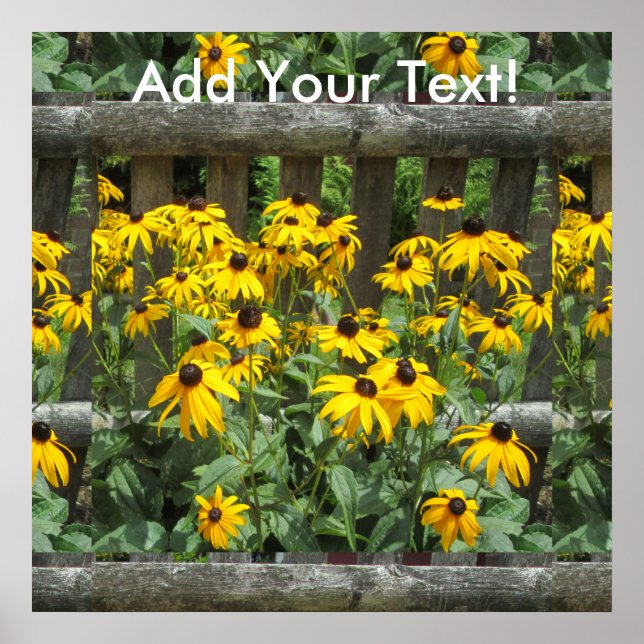 Daisyns viltfångade kluster poster (Framsidan)