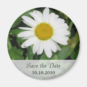 Daisypersonligspara datum magneter
