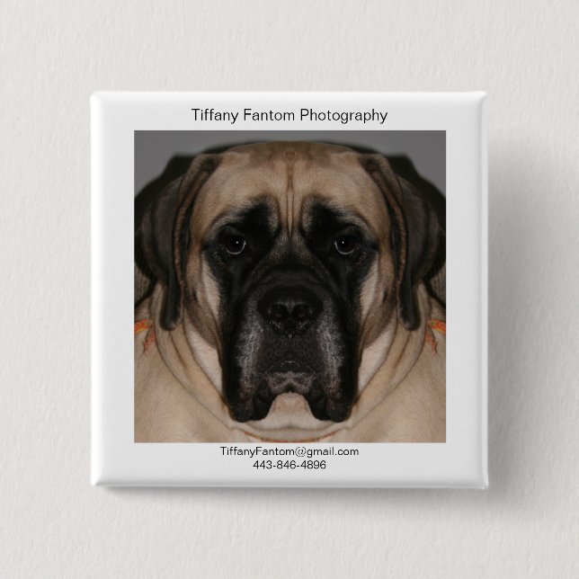 DaisyPromo Knapp (Framsida)