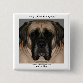 DaisyPromo Knapp