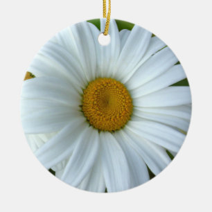 Daisyprydnaden blommar juldekoration