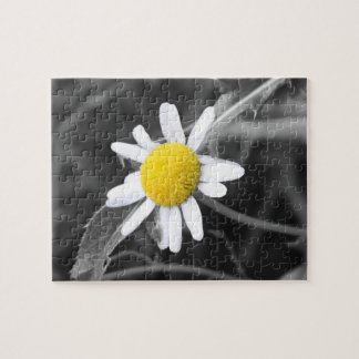 Daisypussel Pussel