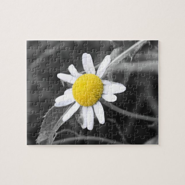 Daisypussel Pussel (Horisontell)