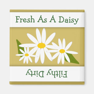 Daisyrengöringen smutsar ner magnet