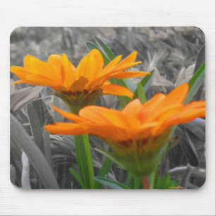 Daisys Mousepad Musmatta