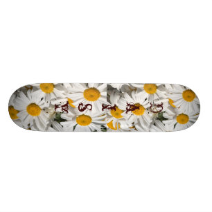 Daisyskateboardmall Old School Skateboard Bräda 21,6 Cm