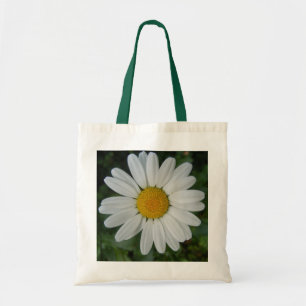 Daisytoto Tygkasse