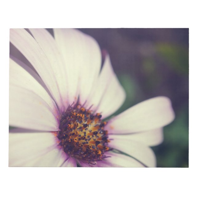 Daisytryck. Anteckningsblock (Framsida)
