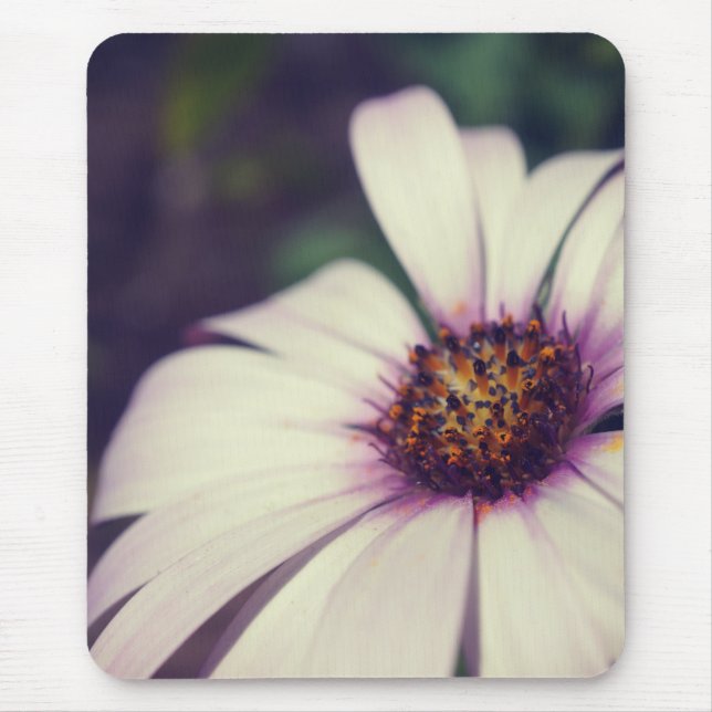 Daisytryck. Musmatta (Framsidan)