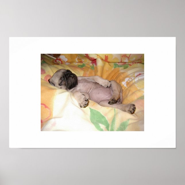 Daizzzzzy Poster (Framsidan)