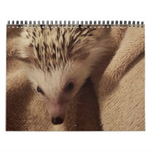 Dakota, Gizmo & vänner!