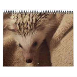 Dakota, Gizmo & vänner! Kalender