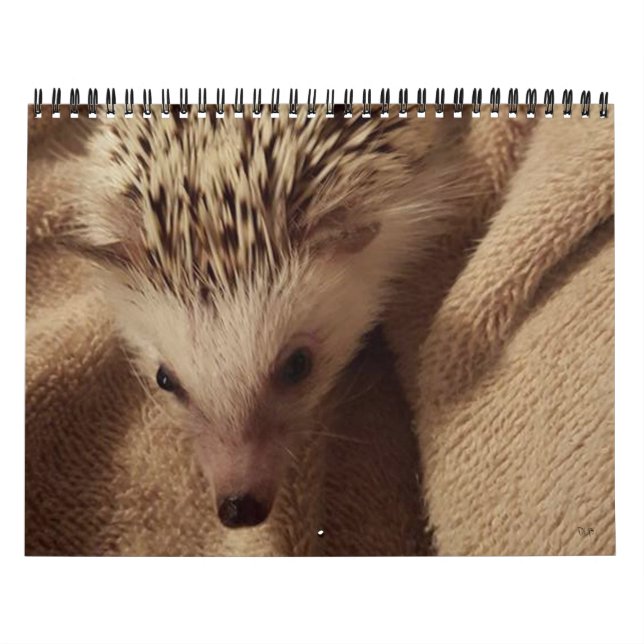 Dakota, Gizmo & vänner! Kalender (Omslag)