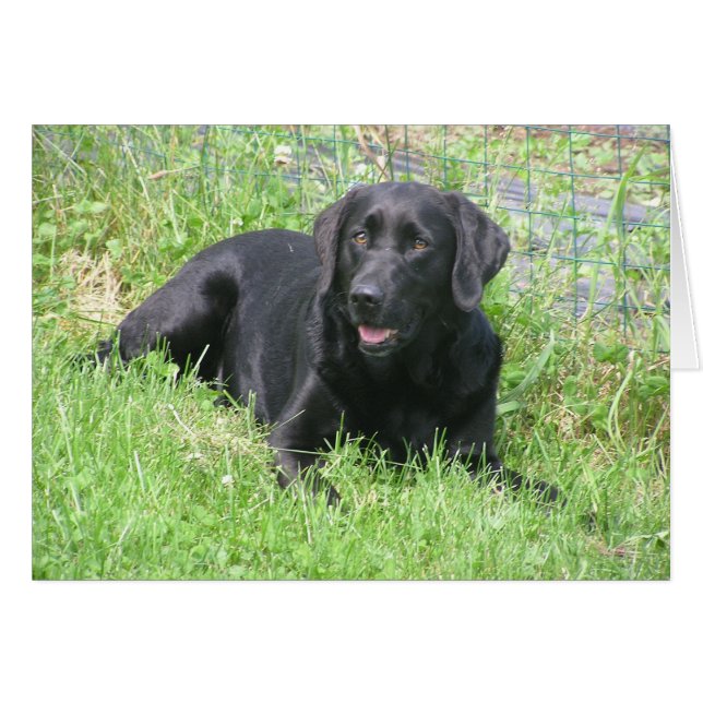 Dakota i solen OBS kort (Framsidan Horizontal)