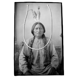 Dakota Leader Sitta Bull Native Indian