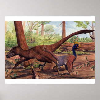 Dakotaraptor Skriv ut Poster