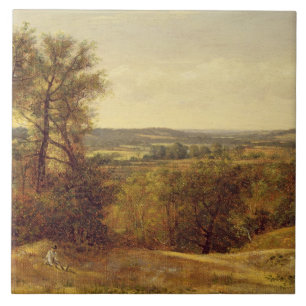 Dal för John konstapel Dedham, c.1802 (olja på Kakelplatta