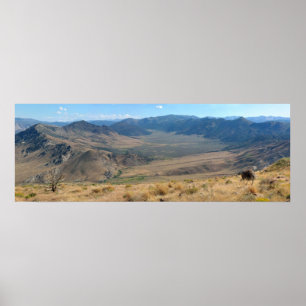 Dal Poster