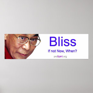 Dalai Lama - insikt Poster