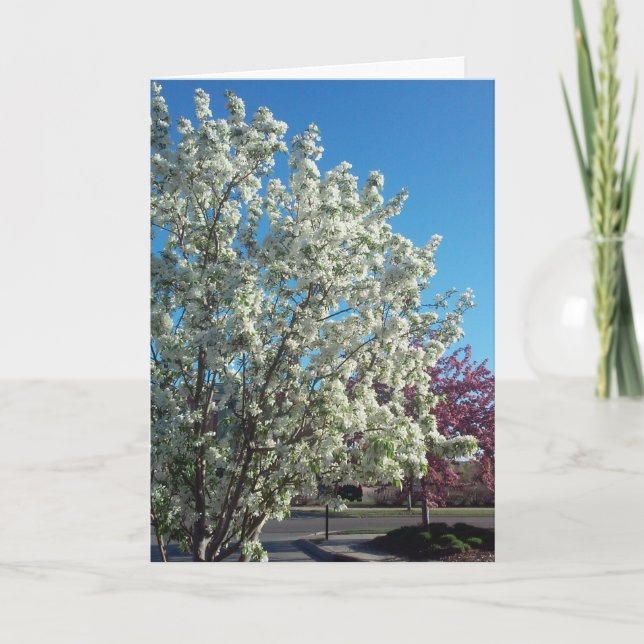 “Daldalblommor” Snart Bättre-kort Kort (Framsida)