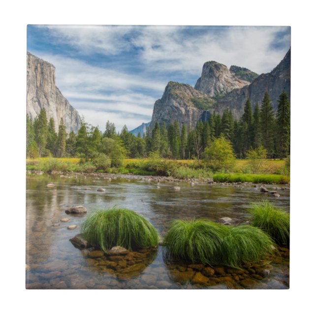 Dalen beskådar i den Yosemite nationalparken Kakelplatta (Framsidan)