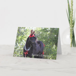 Dales Pony-julkort Helgkort