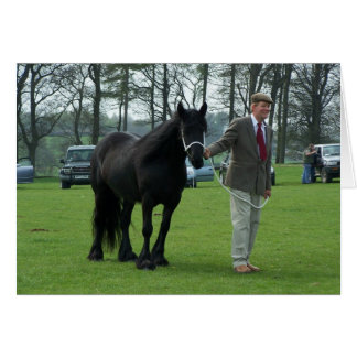Dales Pony-kort OBS Kort